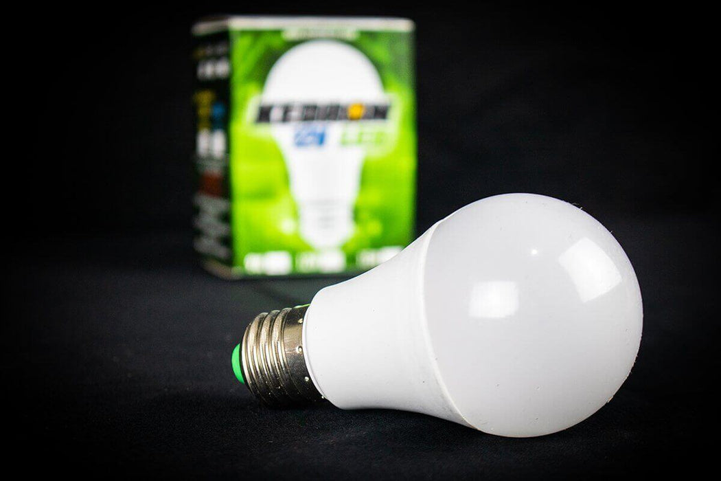 Kedron 12 Watt 12V LED Light Bulb – Uncategorized by Kedron LED | Available at Cabin Depot USA