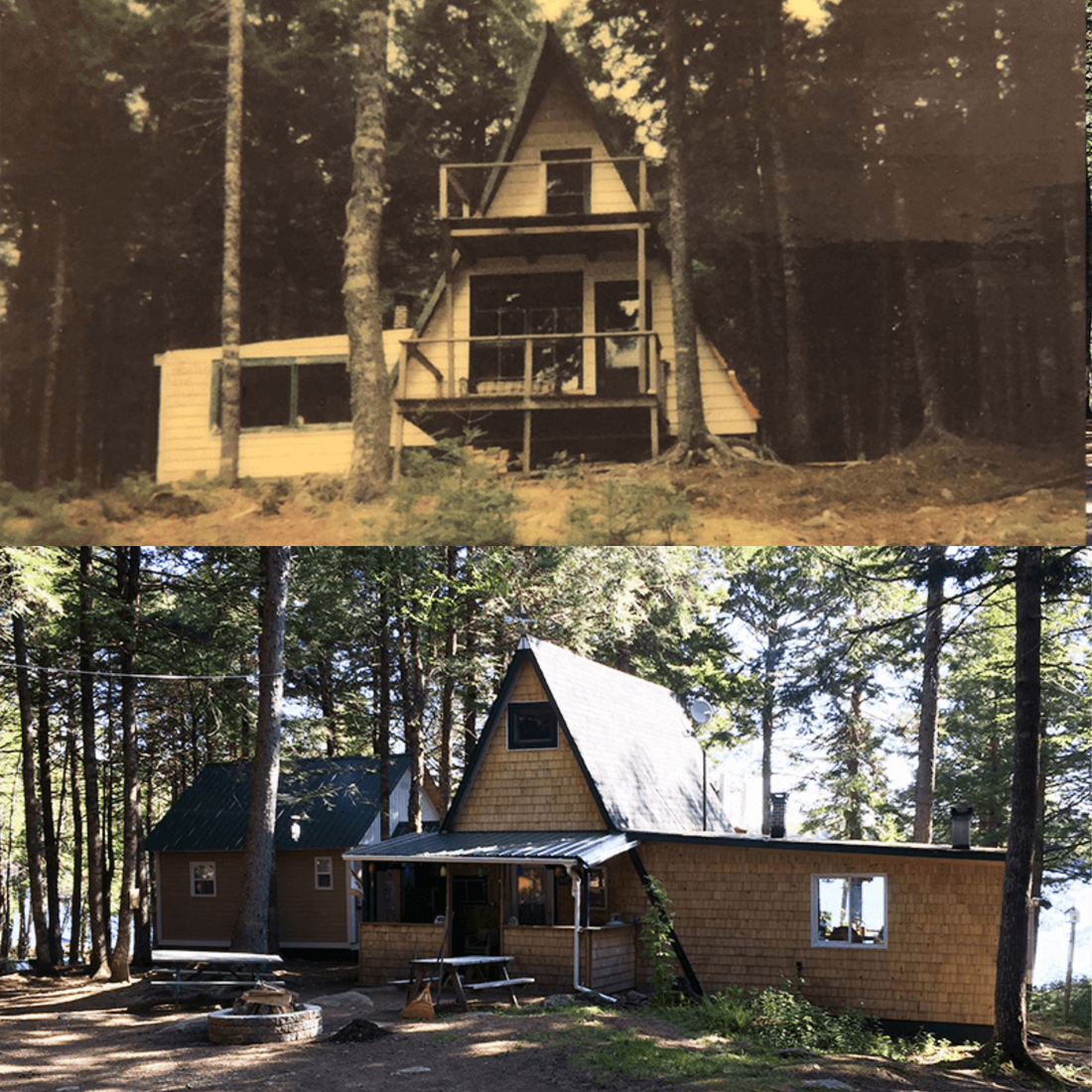 The Cabin