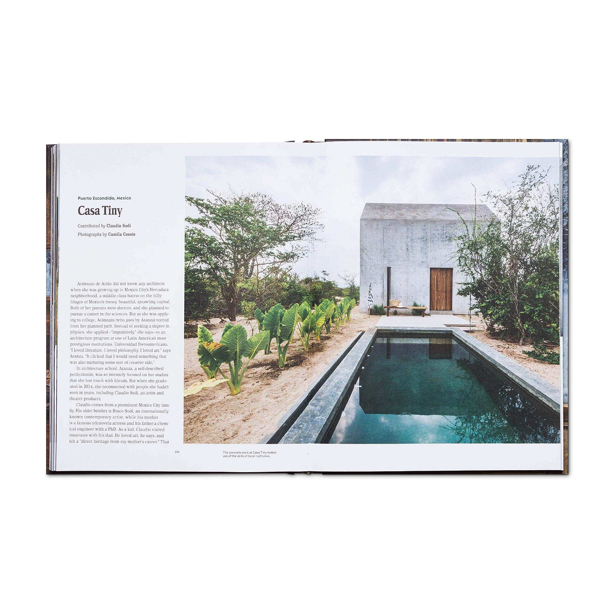 Open page of Cabin Porn Inside Book showcasing Casa Tiny with pool, highlighting artisanal cabin designs by Cabin Depot.